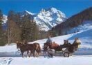 Horse drawn sleigh ride. Photo courtesy of Photo Klopfenstein, Adelboden.