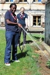 Our Chalet: Watering Plants